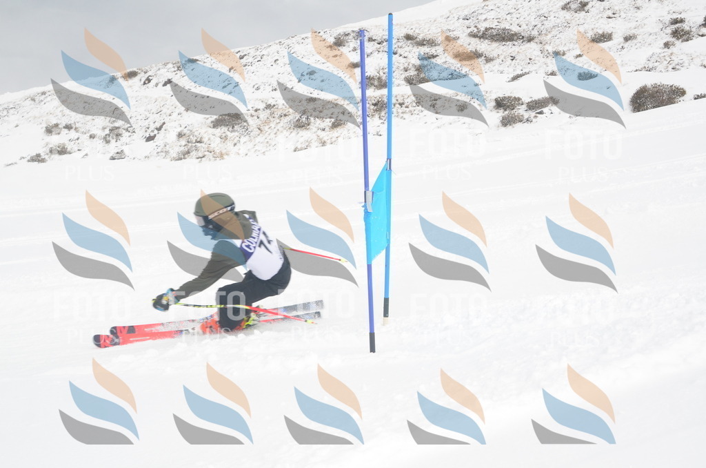 A5618 | holidayphoto