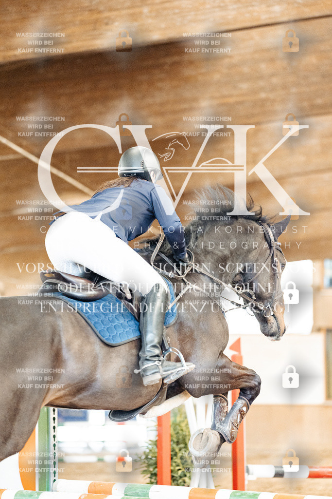 CK905098 | Turnierfotografie Pferdefotografie Trier Rheinland-Pfalz Pferdesport Reitsport Tierfotografie Sportfotografie Pferdevideo Pferdevideografie Equestrianvideography equestrianphotography  - Realisiert mit Pictrs.com