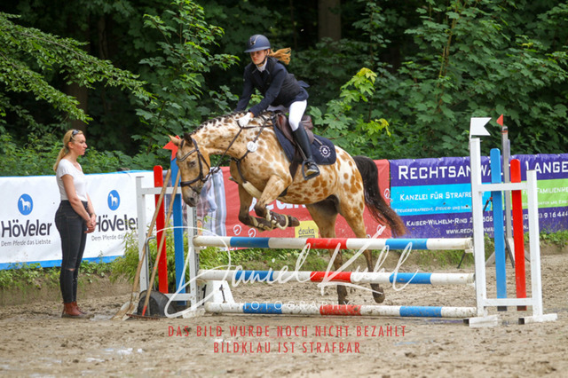 DKP44807 | Turniersportfotografie; Pferdefotografie; Dressurfotografie