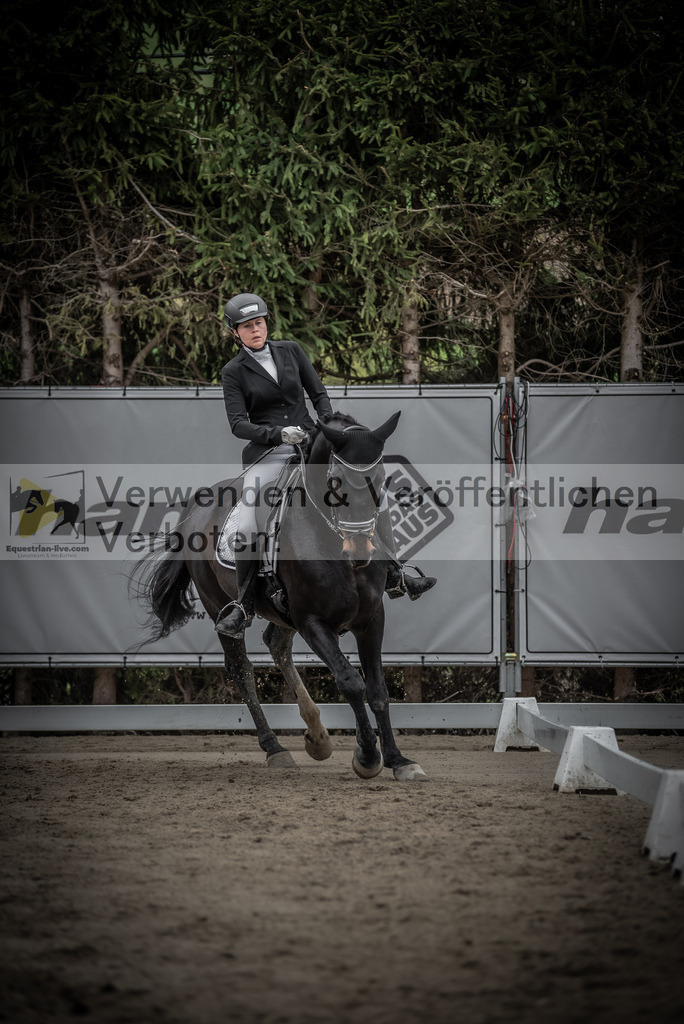 DSC_9310 | equestrian-live-com