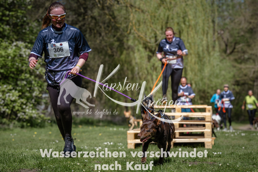 1226_ZZ91728 | kk-dogfotos