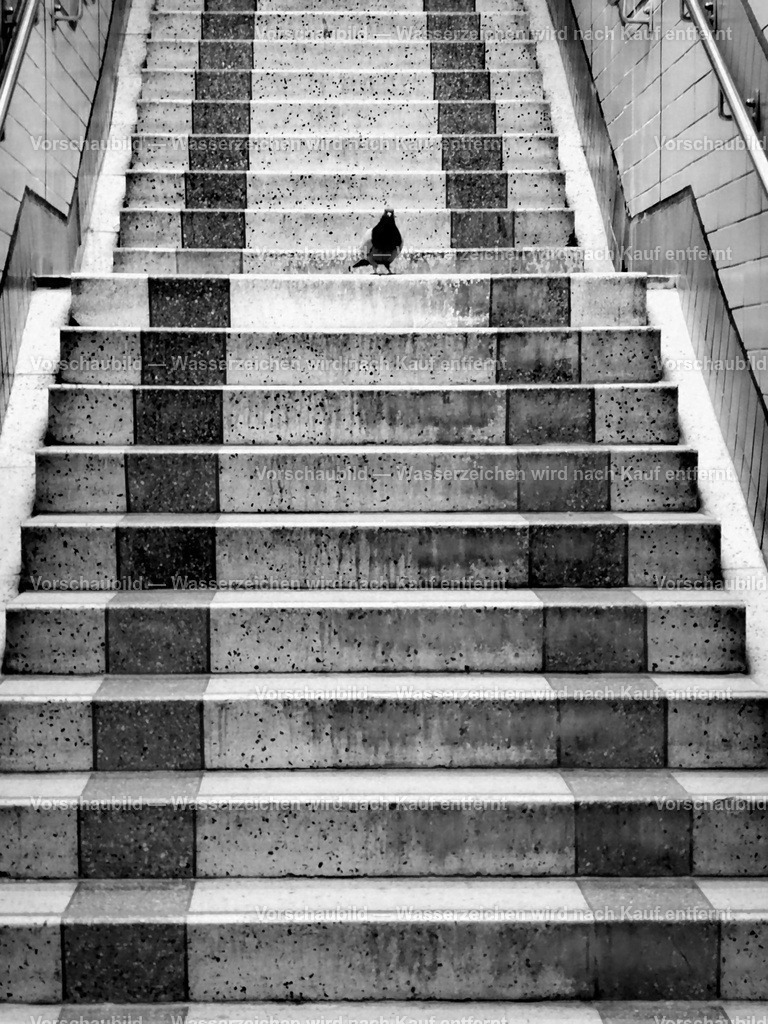 Treppe | online Fotogalerie mit schwarz-weiß Fotografien und Shop für zeitlose  Poster und Leinwände in stilvollem schwarz weiß  - Realisiert mit Pictrs.com