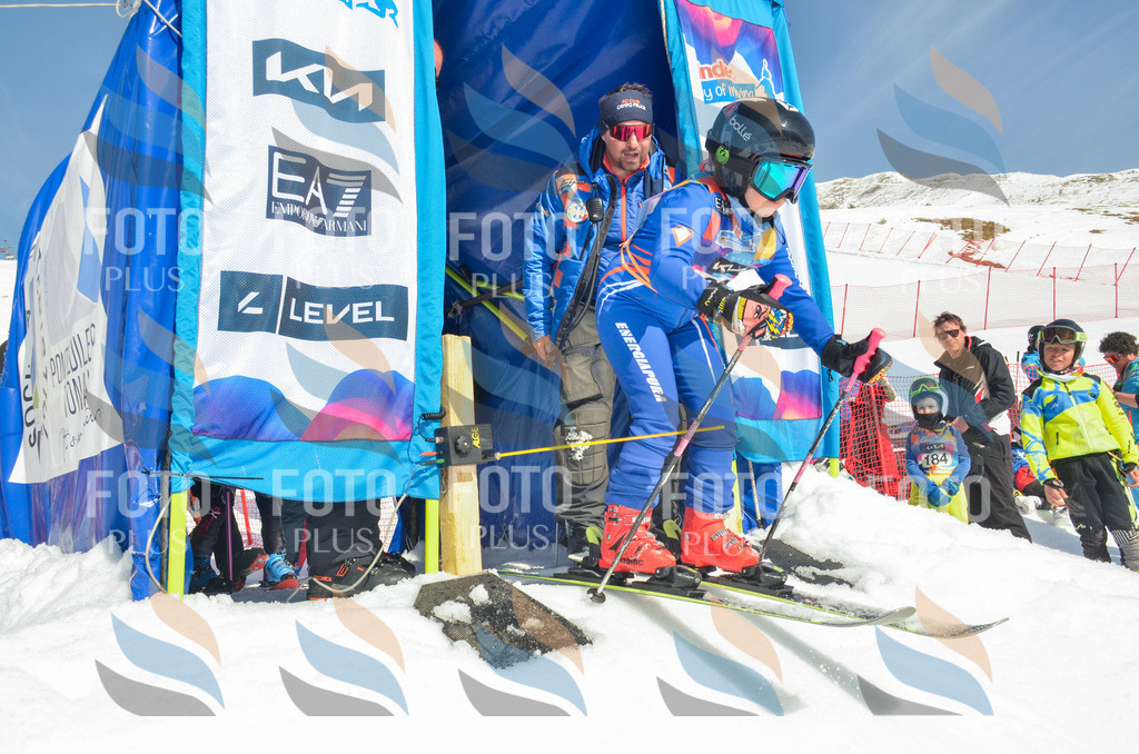 _ELE5566 | holidayphoto