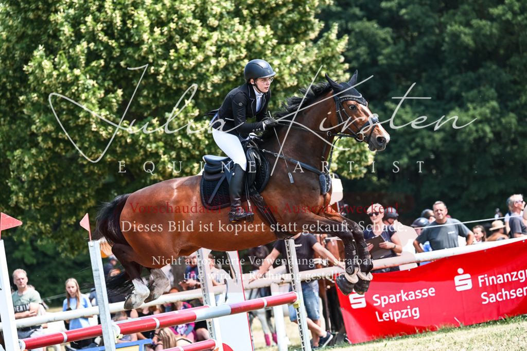 DSC_0049 | Pferde- und Turnierfotografie in Westsachsen. Pferdeportraits, Auftragszeichnungen und intuitive Kunst.
