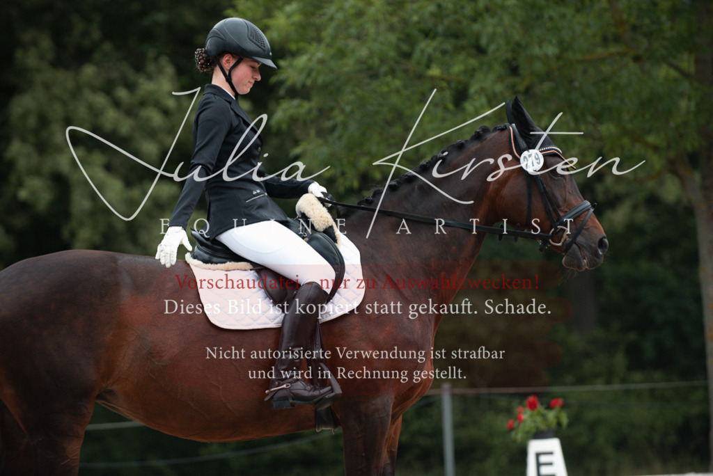 DSC_9577 | Pferde- und Turnierfotografie in Westsachsen. Pferdeportraits, Auftragszeichnungen und intuitive Kunst.