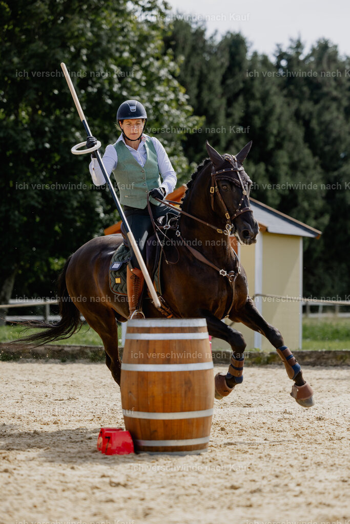 Mirjam25_FHC2025-20380 | working equitationturnier fotograf videograf stoibphotography marixx film working equitation deutschland reitsport turnierfotografie eventfotografie equestrian events