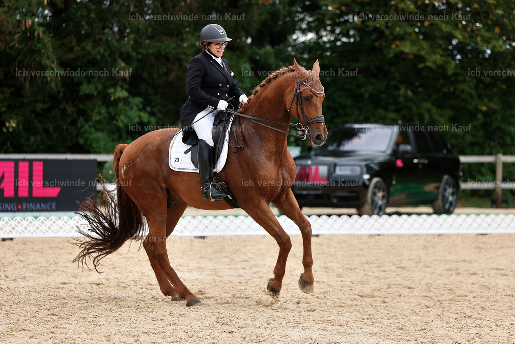 11-023-Dressur S___-StoibPH-1146 | working equitationturnier fotograf videograf stoibphotography marixx film working equitation deutschland reitsport turnierfotografie eventfotografie equestrian events