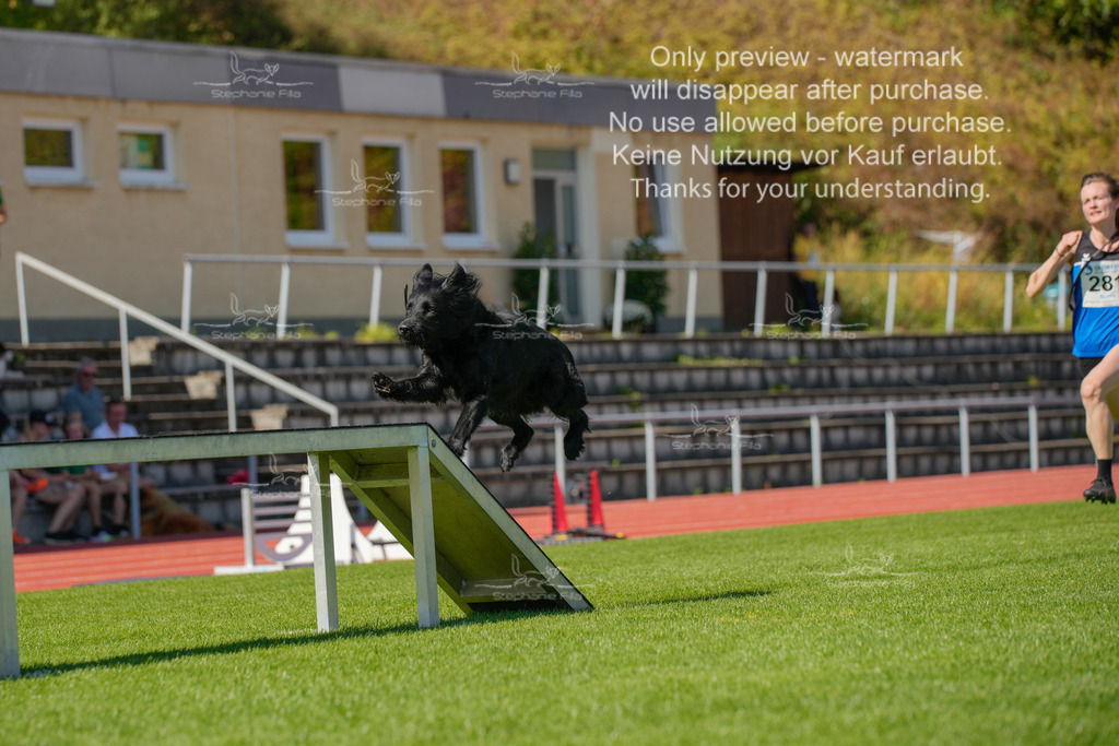 Sonntag_VK Hindernis (545 von 671) | stephaniefillaphotographie - Realisiert mit Pictrs.com