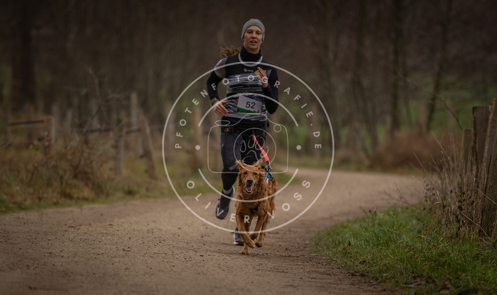 Pfotenfotografie_DV3A2893 | Hundefotografie, Tierfotograf, Pfotenfotografie, Fotoshooting Hund, Hunde Portrait, Hundesport, Hundeportraits, Heideshooting, Hunde, Sportfotograf, Hundefotograf, Turnierhundsport, THS,  - Realisiert mit Pictrs.com