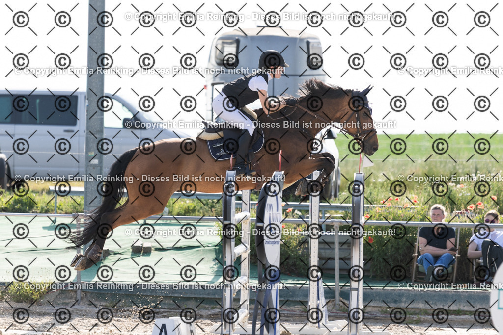 CL5A1267 | Emilia Reinking Fotografie - Realisiert mit Pictrs.com