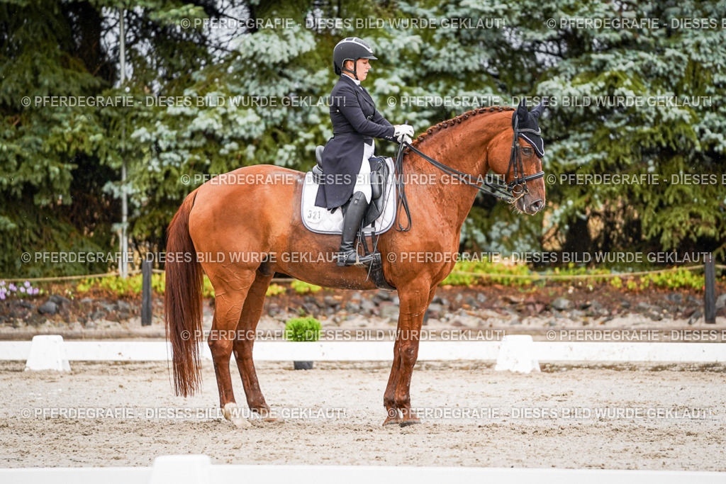 DSC09437 | Pferdegrafie