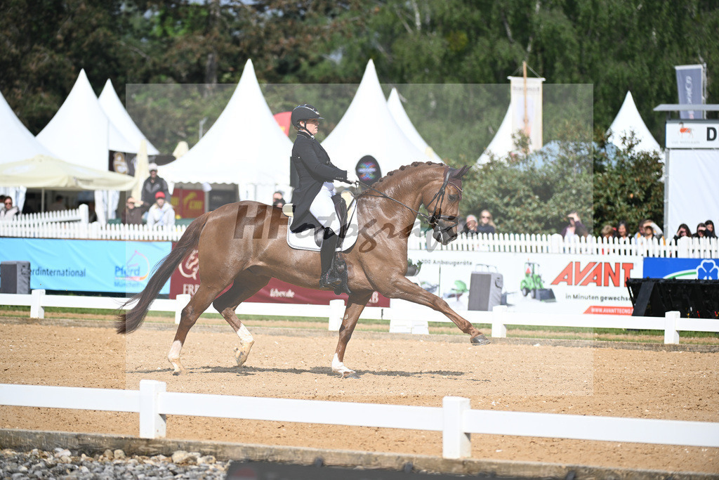 Rhomberg-Rochelt_D Rex RR_12240080 | hf-fotografie - Realisiert mit Pictrs.com