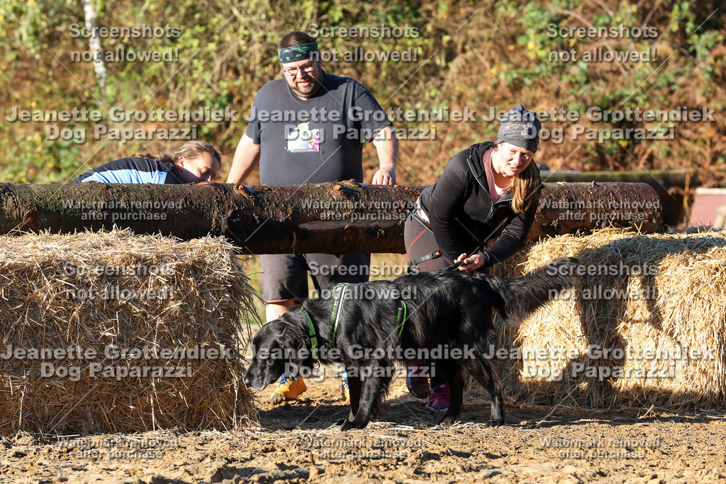 Dog Paparazzi - Strongdog 10-25-1165 | Dog Paparazzi Jeanette Grottendiek Fotografie & Videografie - Realisiert mit Pictrs.com