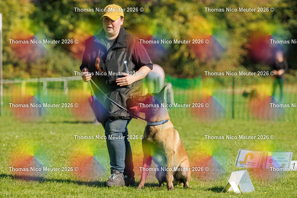 Thomas_Nico_Meuter(C)_04. Oktober 2026_223A1476 | Bild von Thomas Nico Meuter - Realisiert mit Pictrs.com