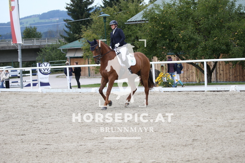 DL2Q3682 | Willkommen bei Brunnmayr - Design & Fotografie – Ihrem Spezialisten für Reitturniere und Pferdeveranstaltungen in Oberösterreich, Salzburg und Bayern! Seit über 17 Jahren sind wir leidenschaftlich dabei.