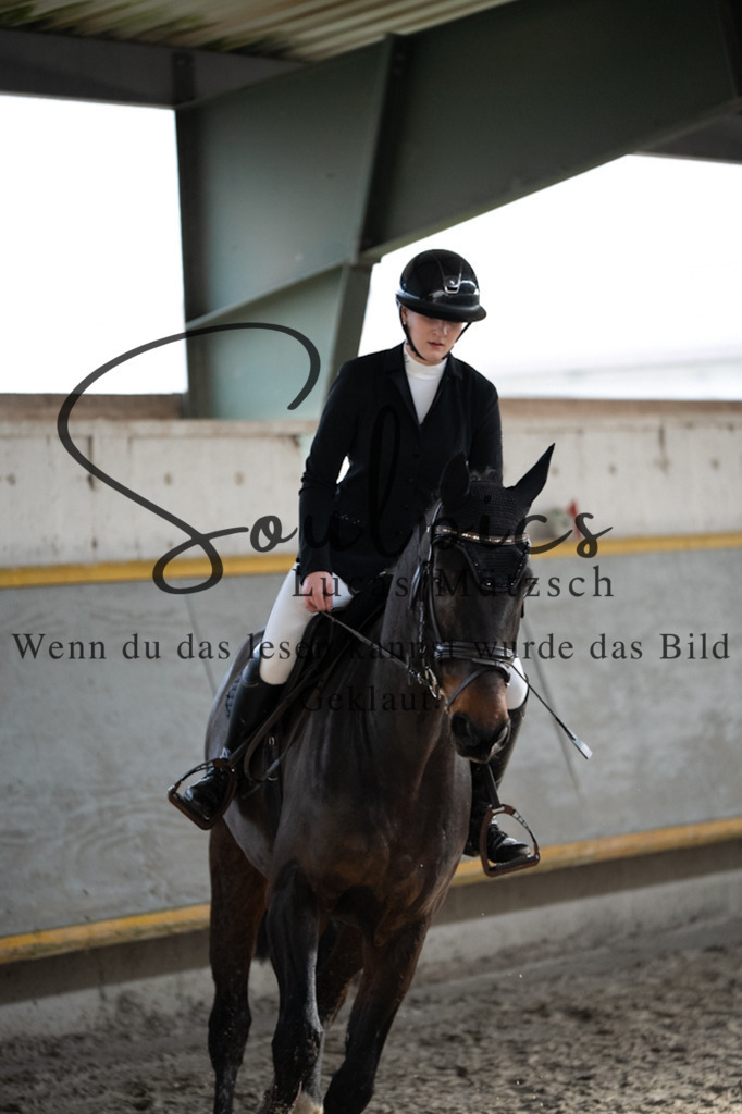 A7V03498 | Pferdefotograf