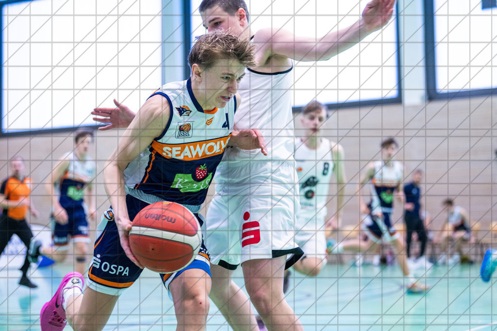 JBBL 24/25 | 19.01.2025 | Charisma Young Bulls vs. Rostock Seawolves | JBBL 24/25 | 19.01.2025 | Charisma Young Bulls vs. Rostock Seawolves - - - - - CREDIT, www.bullenfotos.de, Martin König, Hörner Weg 40, D-49078 Osnabrück, +4917663732967, Nutzung und Weitergabe nur zu den vereinbarten Zwecken. Presseanfragen an Urheber. Alle Rechte beim Urheber. - - - - - - Realisiert mit Pictrs.com