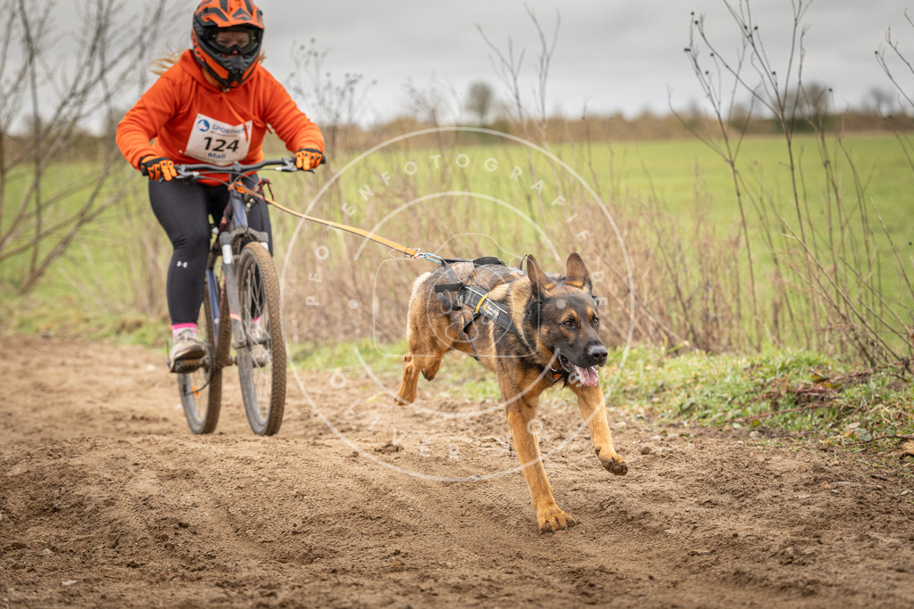 DV3A1052 | Hundefotografie, Tierfotograf, Pfotenfotografie, Fotoshooting Hund, Hunde Portrait, Hundesport, Hundeportraits, Heideshooting, Hunde, Sportfotograf, Hundefotograf, Turnierhundsport, THS,  - Realisiert mit Pictrs.com