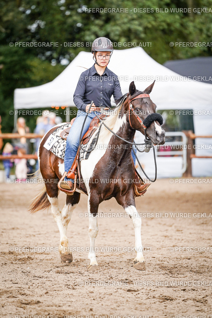 DSC07828 | Pferdegrafie