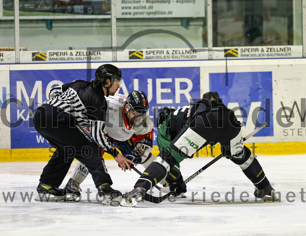 2023-02-19_012_TSV_Erding_gegen_VfE_Ulm-Neu-Ulm | Erding, Deutschland, 19.02.2023:
Eishockey, Bayernliga Meisterrunde Gruppe B 2022 / 2023, 5. Spieltag, TSV Erding gegen VfE Ulm/Neu-Ulm, Endergebnis: 

Thomas Plihal (Erding Gladiators, #39)

Foto: Christian Riedel / fotografie-riedel.net