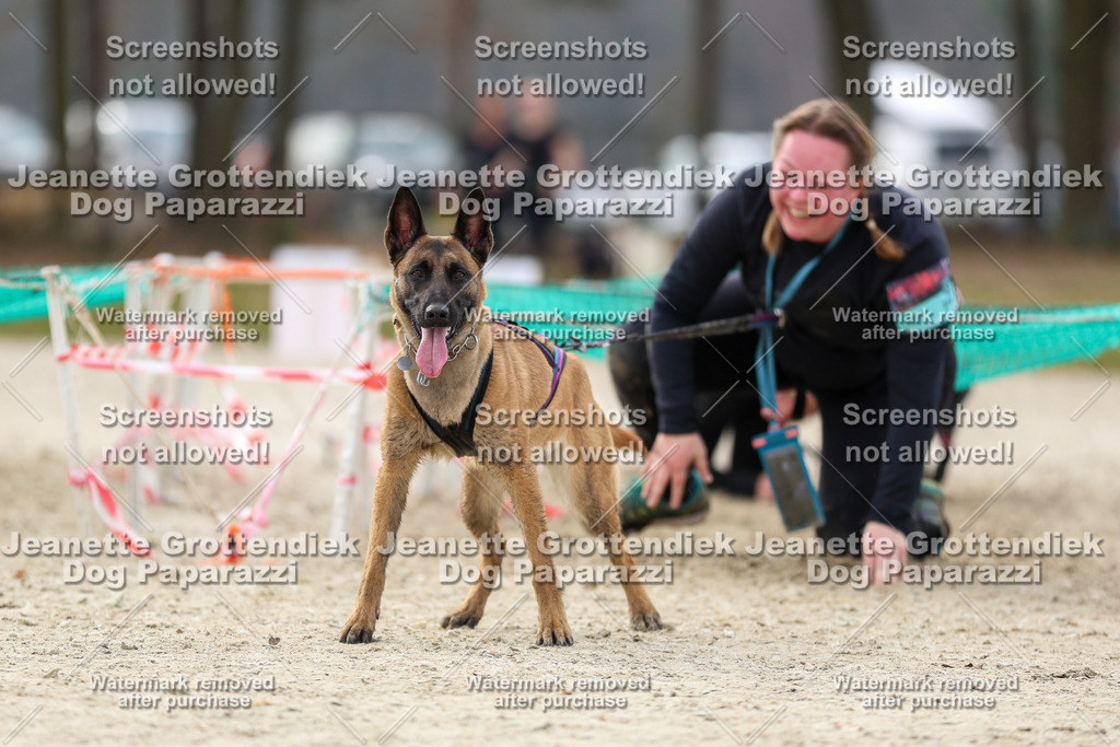 Dog Paparazzi - Strongdog North Mrz26-5650 | Dog Paparazzi Jeanette Grottendiek Fotografie & Videografie - Realisiert mit Pictrs.com