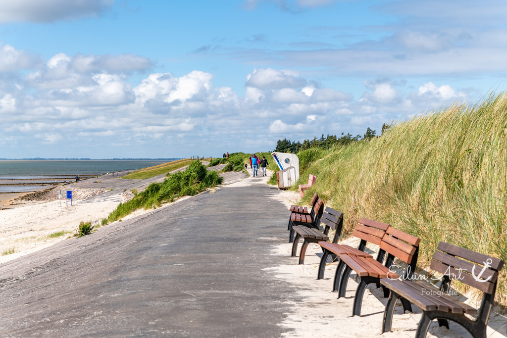 20240619-EAF_4058 | Eilun-Art-Fotografie Levke Martens, ihre Fotografin für Immobilien- und Landschaftsfotografie auf Föhr, Föhrer Motive als Poster, Leinwand, hinter Acrylglas oder stelle dir deinen eigenen Monatskalender zusammen, mit nur einem Klick