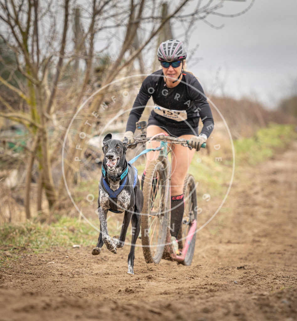 DV3A1719 | Hundefotografie, Tierfotograf, Pfotenfotografie, Fotoshooting Hund, Hunde Portrait, Hundesport, Hundeportraits, Heideshooting, Hunde, Sportfotograf, Hundefotograf, Turnierhundsport, THS,  - Realisiert mit Pictrs.com