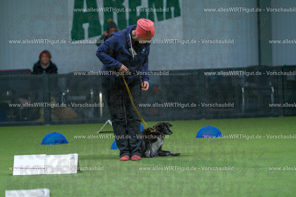 7R501113 | Professionelle Tierfotografie in Mönchengladbach von Daniel Wirth (allesWIRTHgut). Liebevolle & natürliche Bilder von Hunden & Katzen für unvergessliche Erinnerungen.
