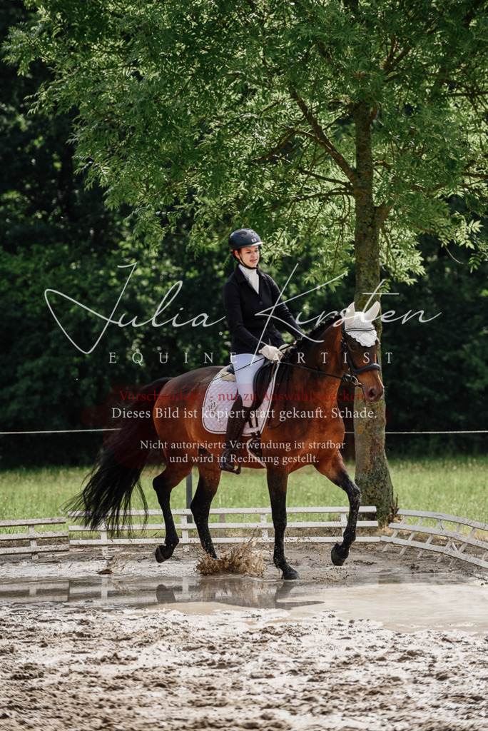 DSC_9813 | Pferde- und Turnierfotografie in Westsachsen. Pferdeportraits, Auftragszeichnungen und intuitive Kunst.