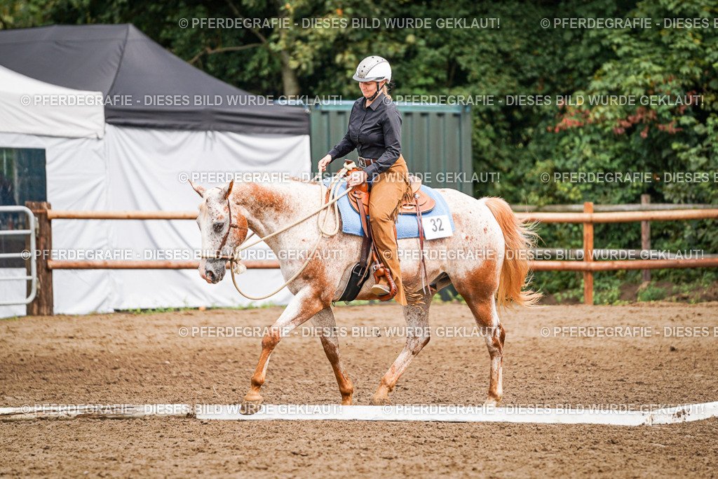 DSC04138 | Pferdegrafie