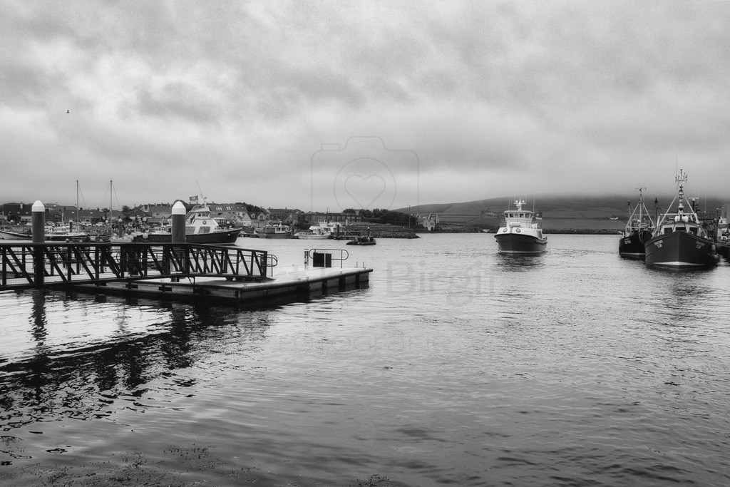 Der Hafen von Dingle | Schwarz Weiß Impression vom Hafen in Dingle. - Realisiert mit Pictrs.com