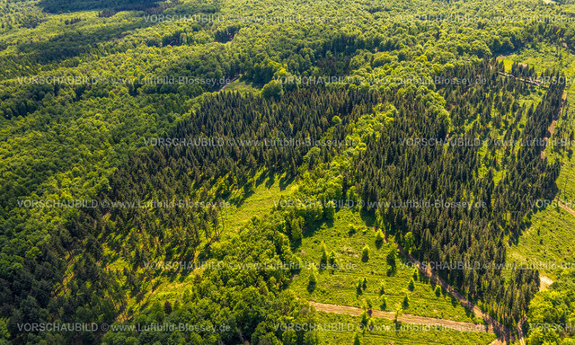 Brakel240504729NSG-HinnenburgerForst | Luftbild, NSG Naturschutzgebiet Hinnenburger Forst mit Emder Bachtal, am Mühlenbach, Mischwaldgebiet, Nieheim, Ostwestfalen, Nordrhein-Westfalen, Deutschland
