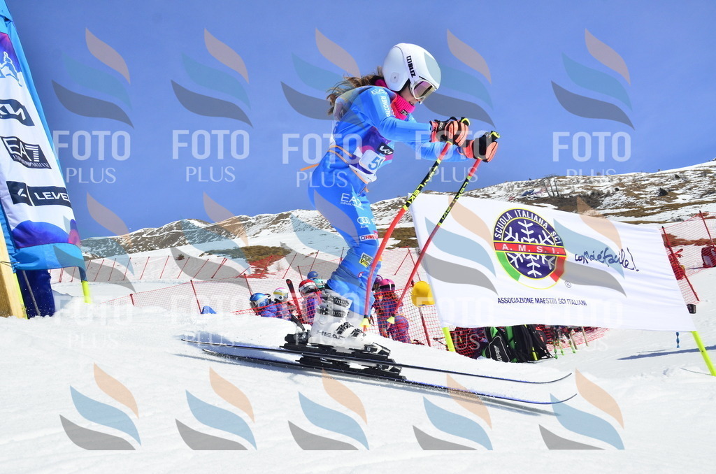 _ELE0194 | holidayphoto