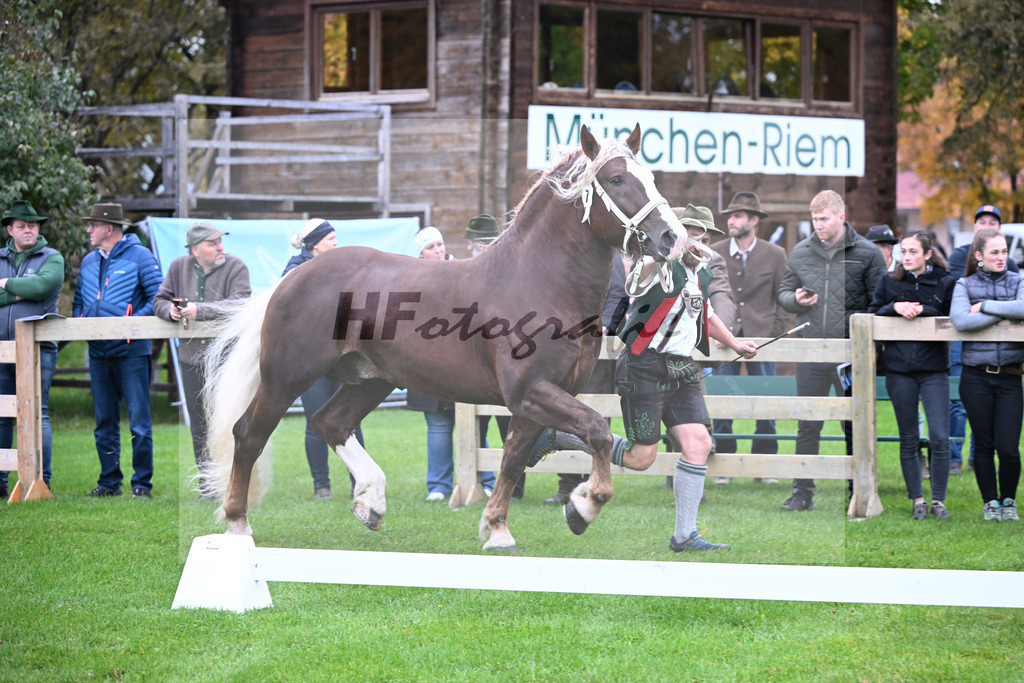 Kat-Nr. 7 Schampus v. Siox_Mayr_41250164 | hf-fotografie - Realizzato con Pictrs.com