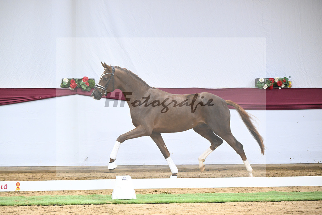 Kat-Nr. 138 Flashbang x Benetton Dream_Christian Gaeher_47251446 | hf-fotografie - Realisiert mit Pictrs.com