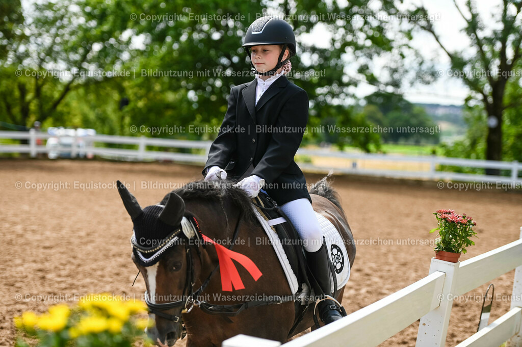 20230716_10-3_Reiter-WB Schritt - Trab - Galopp_0257 | equistock