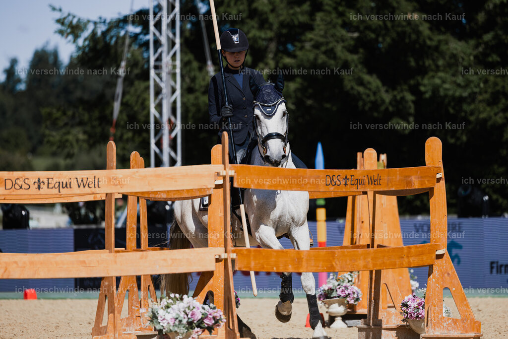 Svea13FHC2025-27368 | working equitationturnier fotograf videograf stoibphotography marixx film working equitation deutschland reitsport turnierfotografie eventfotografie equestrian events