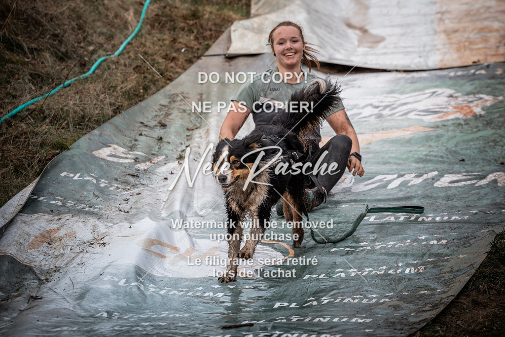 nelerasche_1330-1400_252 | nelerasche