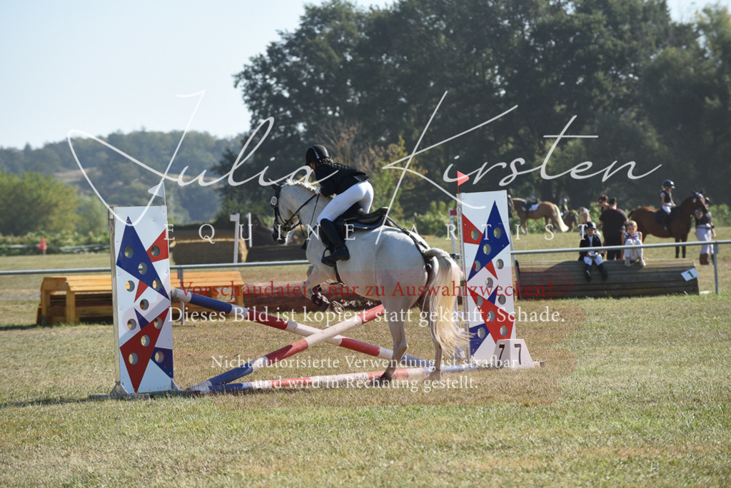 DSC_5864 | Pferde- und Turnierfotografie in Westsachsen. Pferdeportraits, Auftragszeichnungen und intuitive Kunst.