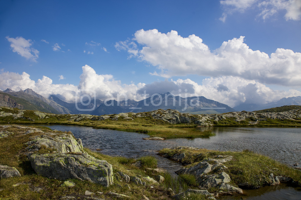 A.Trupina-3 | antonija-trupina - Realisiert mit Pictrs.com