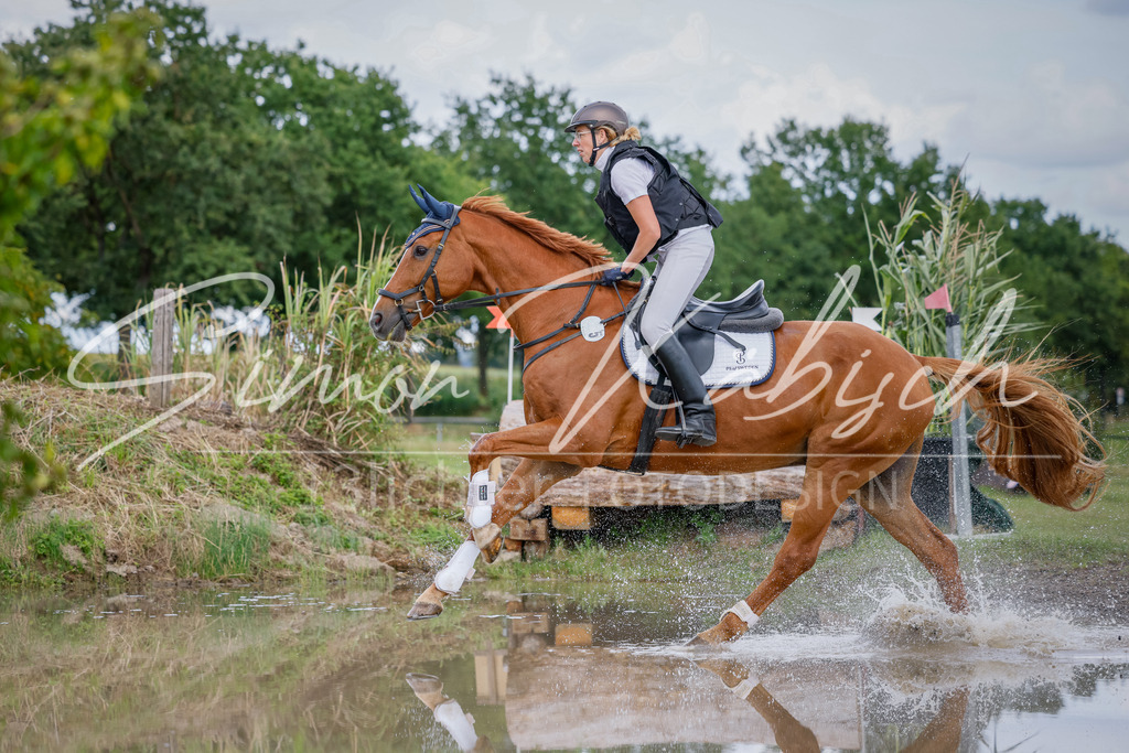 20250905-_3LI0662 | Tierfotografie Pferde, Hunde, Katzen, Haustiere.
Turnierfotografie Reitturniere, Reiten, Springreiten, Dressur in Hanau, dem Main-Kinzig-Kreis und dem Rhein-Main- Gebiet um Frankfurt