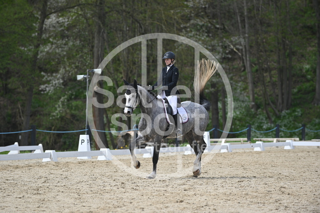 DSC_3534 | sattelsport - Realisiert mit Pictrs.com