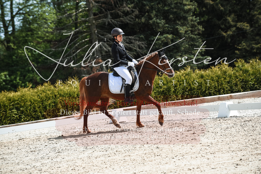 20230518_JK-Röhrsdorf-11-0695 | Pferde- und Turnierfotografie in Westsachsen. Pferdeportraits, Auftragszeichnungen und intuitive Kunst.