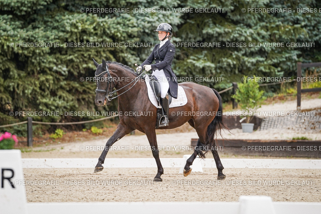 DSC07013 | Pferdegrafie