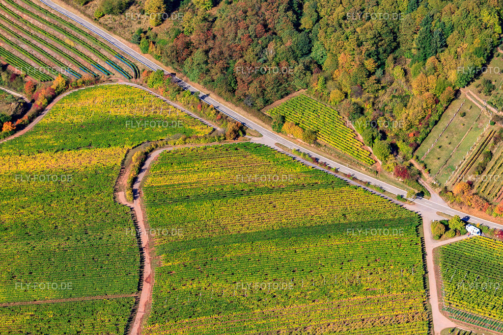 Weinberge am Haardtrand Modenbachtalstr | Luftbild: Weinberge am Haardtrand Modenbachtalstr in Burrweiler im Bundesland Rheinland-Pfalz in Deutschland. Foto: IMG_22224.jpg vom 15.10.2009 durch Werner Riehm/FLY-FOTO.de - Realisiert mit Pictrs.com