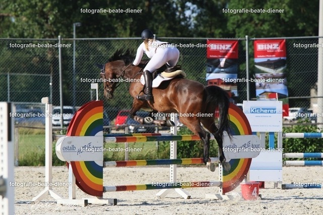 OHT 2022 Röhlingen (155) | Fotografie, Tiere, Hunde, Katzen, Pferde, Sportfotografie, Fotosession, Tierfotografie, Turnierfotografie, Fotografin, Fotograf - Realisiert mit Pictrs.com