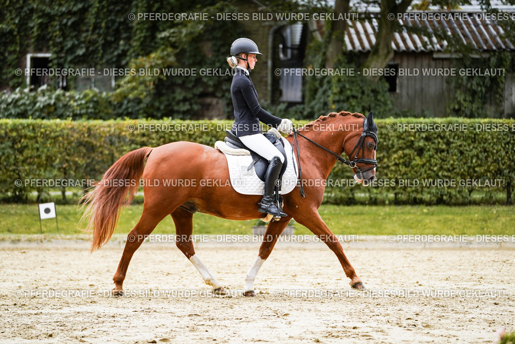 DSC08771 | Pferdegrafie