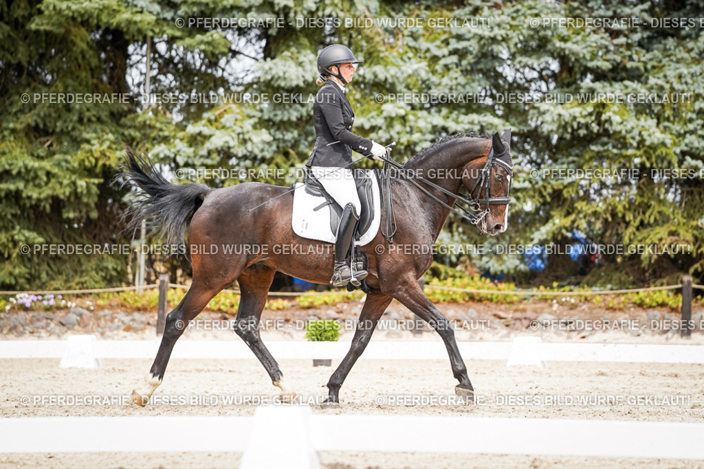 DSC05758 | Pferdegrafie