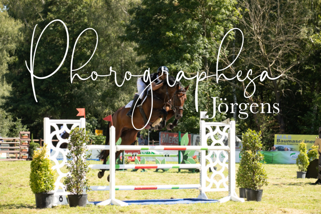 IMG_9099 | photographesa-joergens - Realisiert mit Pictrs.com