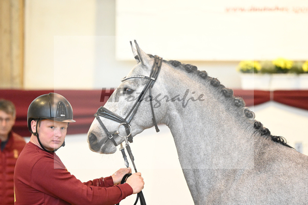 Kat-Nr. 12 v. Cabrio v d Heffinck_Beckmann_66221122 | hf-fotografie - Realisiert mit Pictrs.com